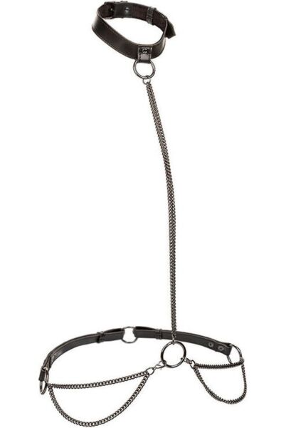 Calexotics Euphoria Plus Size Halter Kettenharness, umbaubar zum Halsband mit Leine