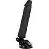 Fernbedienung Vibrator Dark Thrust