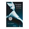 Fifty Shades of Grey (Fifty Shades Trilogie 1)