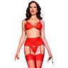 Lingerie Set Chilirose CR 4895 5-teilig