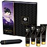 Kits Paare SHUNGA Geisha Naughty mit vielseitigen Produkten