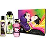 Shunga Fruity Kisses Collection – Paar-Kit mit Massageöl