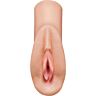 Masturbator PDX PLUS+ Perfect Pussy Heaven für intensiven Genuss