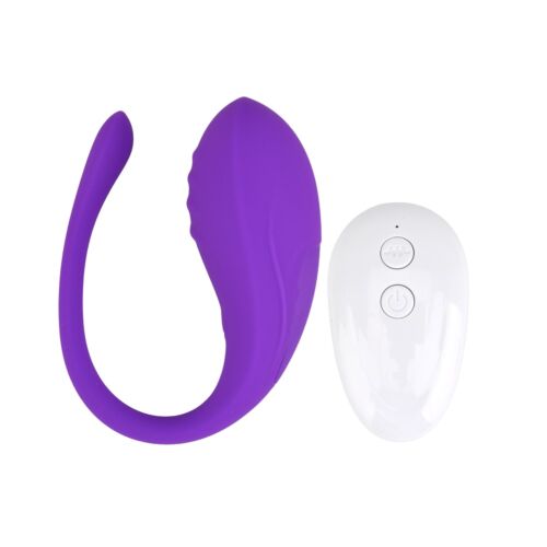 Eier Vibrator Loving Joy Remote Controlled mit 10 Funktionen