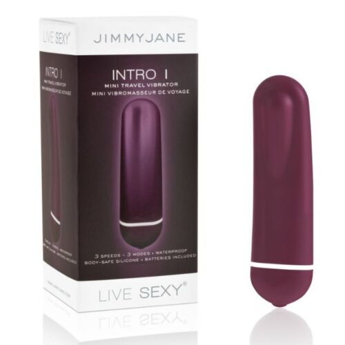 Intro 1 lila Mini-Vibrator Reise