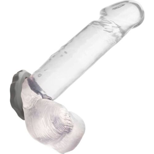 Penisring CALEXOTICS Alpha Erect Ring – Komfort und Unterstützung