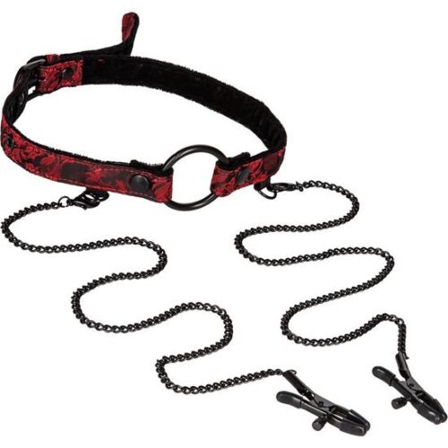 Skandal offener Mundknebel mit Klammern