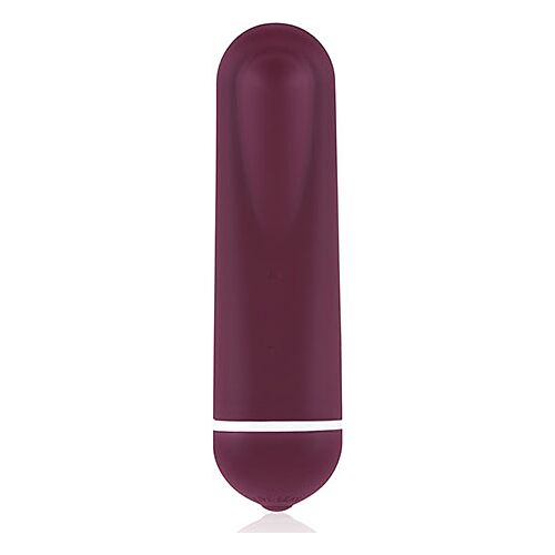 Intro 1 lila Mini-Vibrator Reise