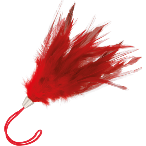 Bondage Spielzeug DARKNESS 17cm mit Kitzel-Federn