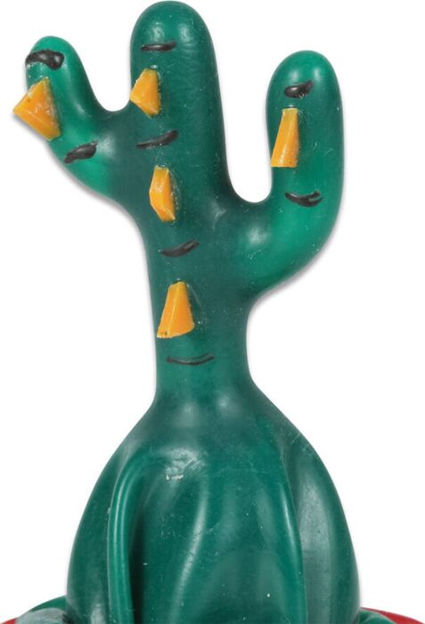 Preservativo CONDOMERIE Cactus Handgemalt